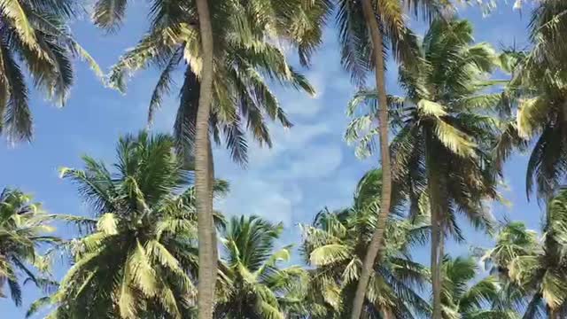 Paracuru & Paraipaba, Ceará.