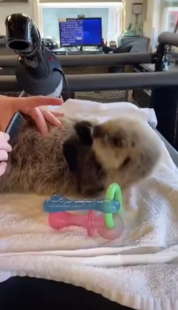 Not sure what this cute little guy is 😊🤔