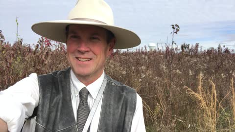 The Root Cause of Failed Liberalism