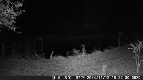 Teich121124