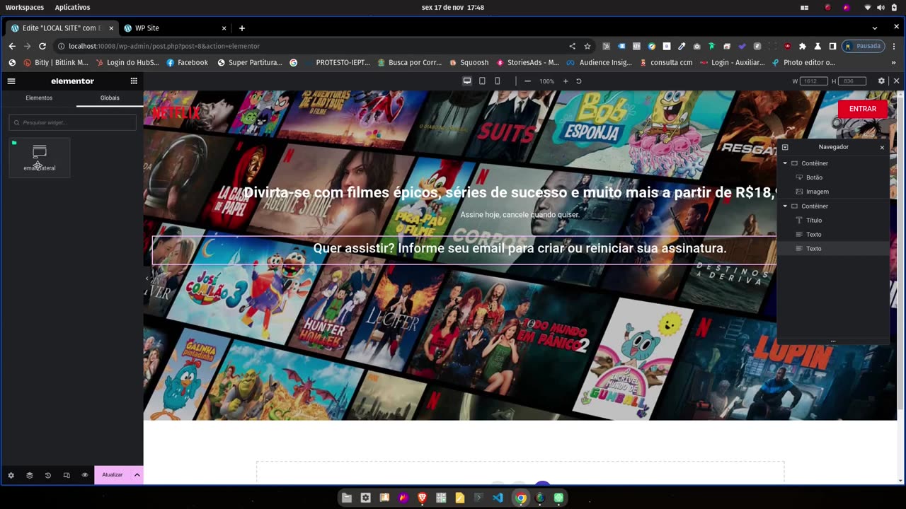 Netflix web site redesign - Elementor/Wordpress