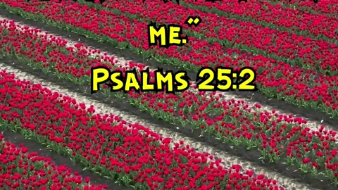 Psalms 25:2