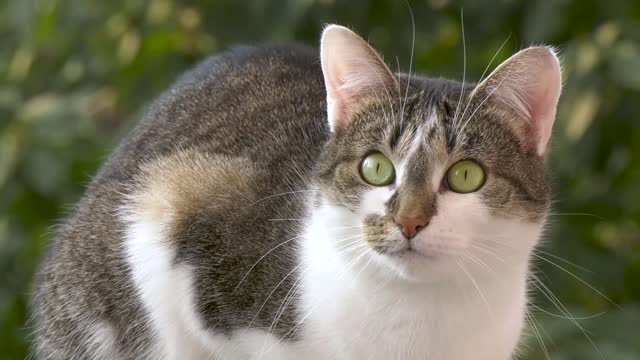 Look at me. Isn't it cute?