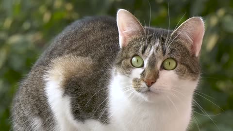 Look at me. Isn't it cute?