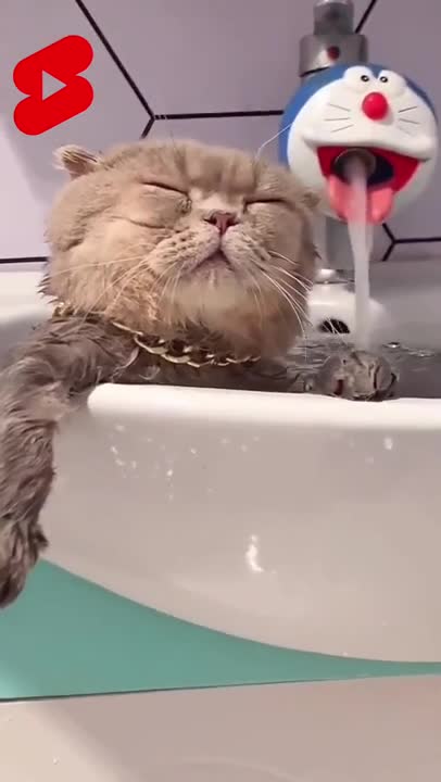 super cute funny little animals #shorts