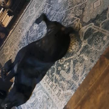 Luci Lu & Crazy Time