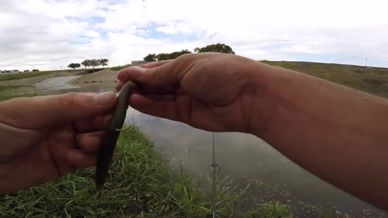 Fishing TINY HIDDEN Creeks in Texas