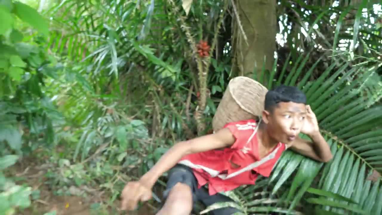 Meet the goat, and rich fruits cooking eating in jungle | Primitive technology-12