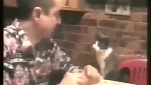 deaf man's cat realized that meowing was useless, he learned to communicate with him through signs