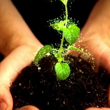 Inteligência Espirituais