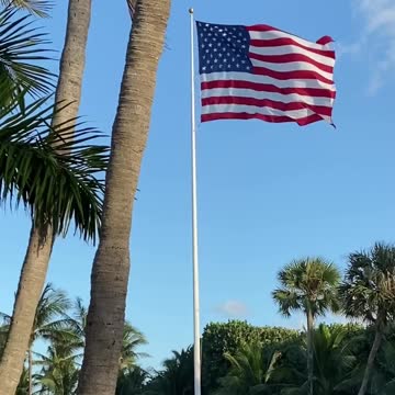 Veterans Day - American Flag