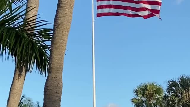 Veterans Day - American Flag