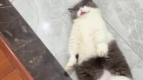 Be adorable