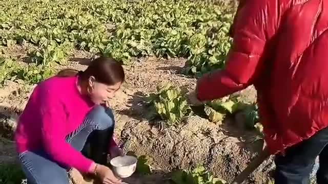 Chinese funny video try not to laugh #short