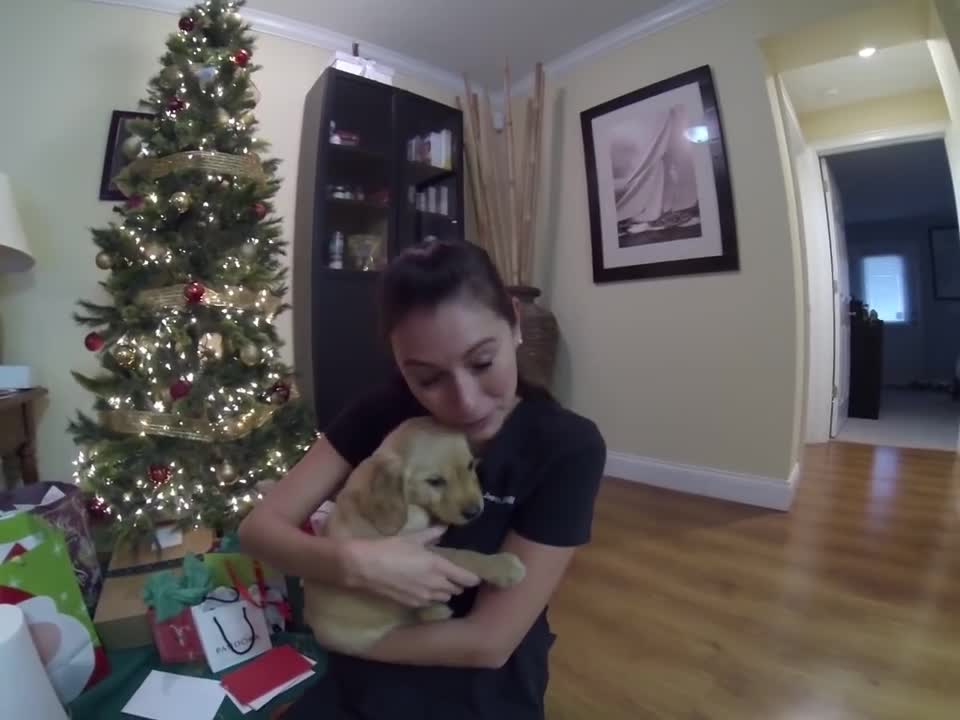 Surprised my wife with a golden retriever puppy for Christmas