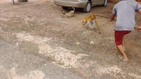 Fakes Tiger Prank Dog Run So Funny Action Try To Stop Laugh Challenge