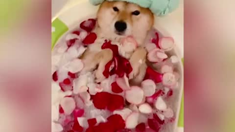 Relaxing bath