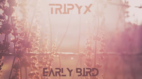 TRIPYX - Early Bird