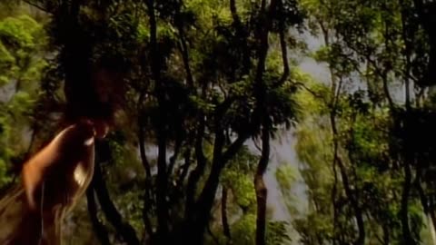 Meat Loaf - I'd Do Anything For Love (But I Won't Do That)