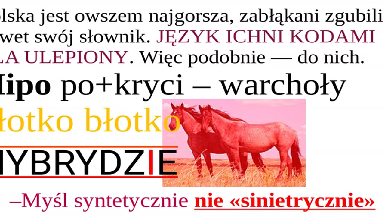 Nawał naiwny*psychopatystów*Max naiwność„jak leci”nienawidzić|Warcholiście RU=PL!! Umysły