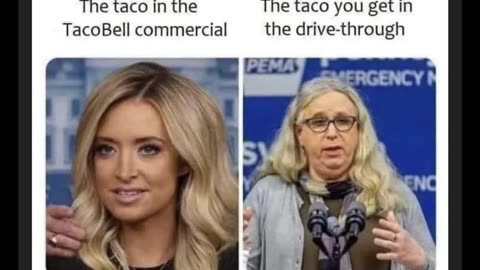 Random Memes 637