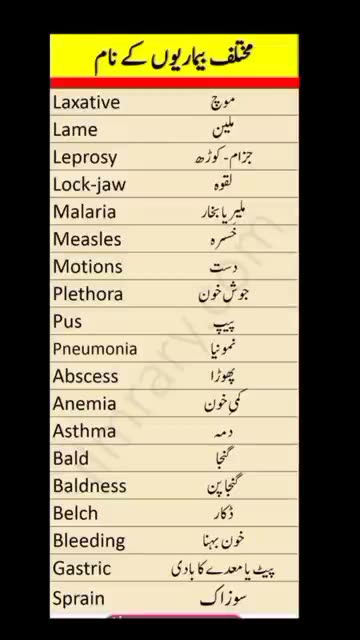 English To Urdu Sentences #englishtourdu #youtubeshorts #ytshort #englishshortsentences