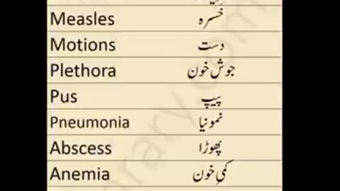 English To Urdu Sentences #englishtourdu #youtubeshorts #ytshort #englishshortsentences