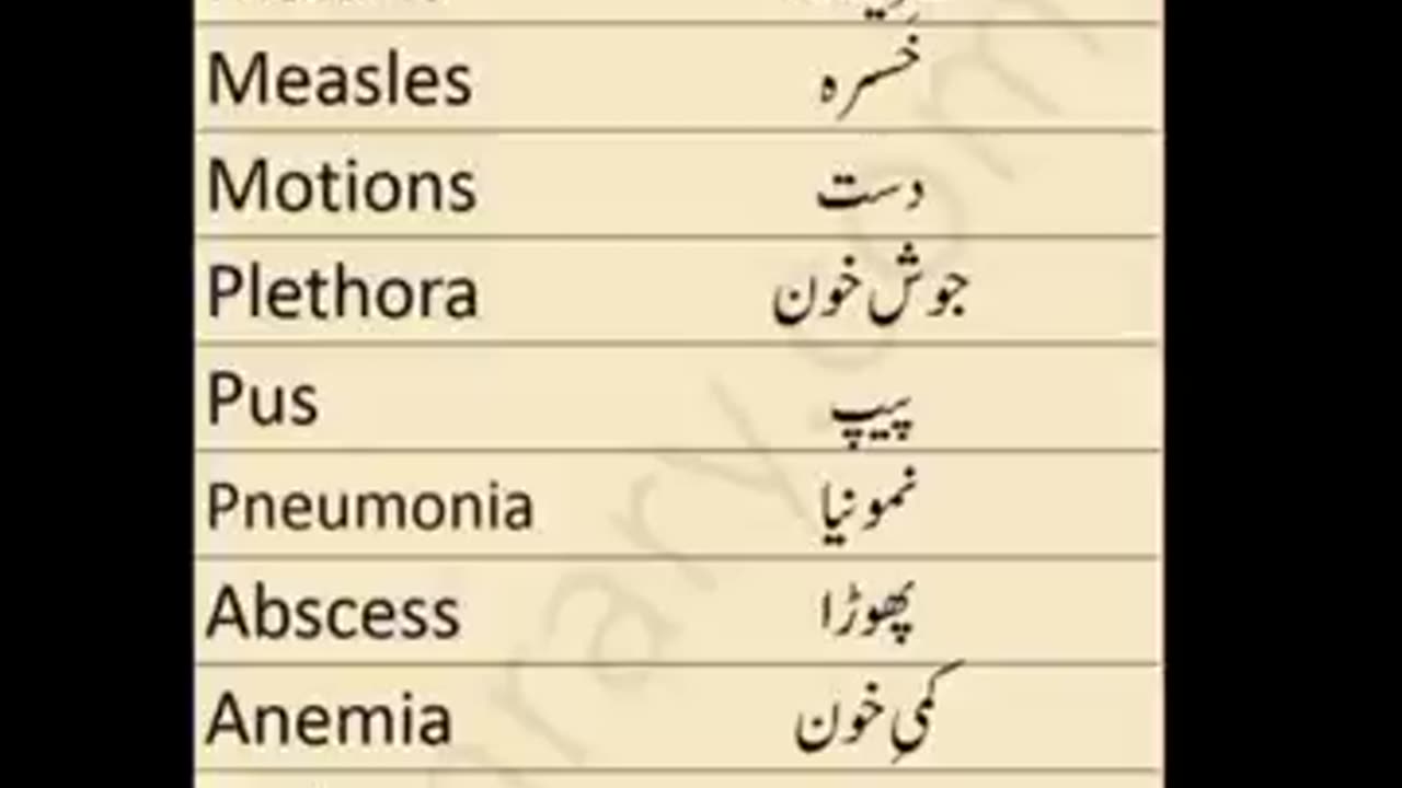 English To Urdu Sentences #englishtourdu #youtubeshorts #ytshort #englishshortsentences