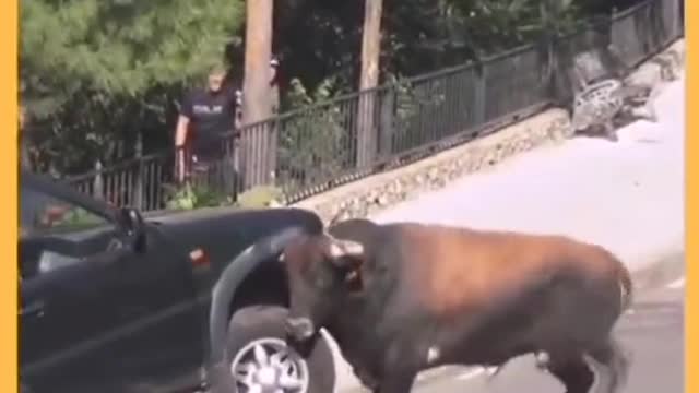 Torrential loses control, destroys an entire car and attacks people