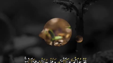 ۞ إِنَّ اللَّهَ فَالِقُ الْحَبِّ وَالنَّوَىٰ ♥️.....#تصميمي