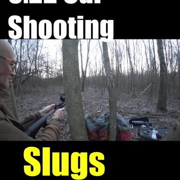 Can You Shoot Slugs from a REXIMEX RP 0.22 Cal Pistol?