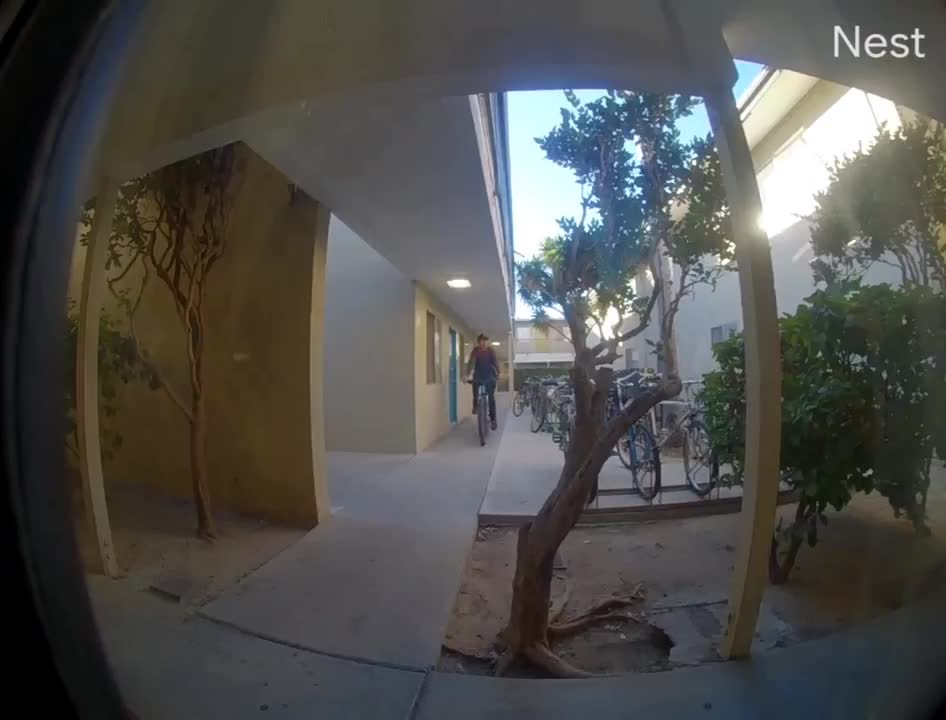 Guy Picks Up A Delivery Package From In Front Of A House And Gets Caught On Doorbell Camera