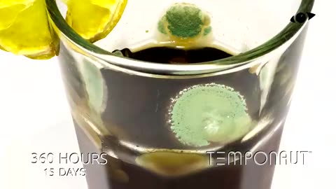 Cola TimeLapse