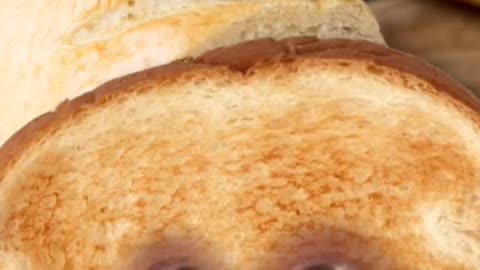 Get Toasted!