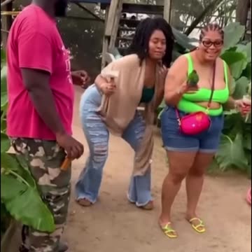 ZOO FAILS #shorts #83 #zoo #failscompilation #funnyclips #failscompilation #fails #funny #fail