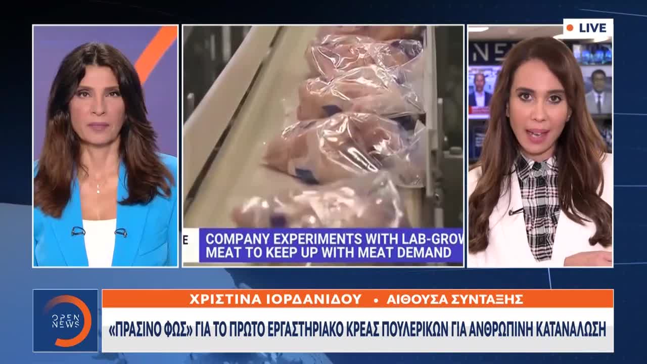 ΚΑΙ Η ΤΣΑΠΑΝΙΔΟΥ ΑΝΑΦΟΡΑ ΓΙΑ ΚΡΕΑΣ ΕΡΓΑΣΤΗΡΙΟΥ