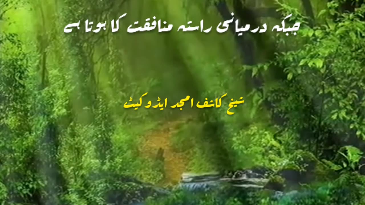 Best Saying by Shaikh Kashif Amjad | Video No. 02