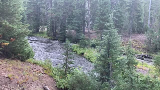 Central Oregon - Creek Forks into Two Arms