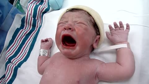 New born baby video clip