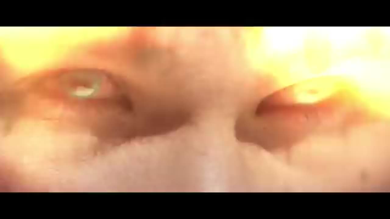 Dragon ball Z the light of hope part one.
