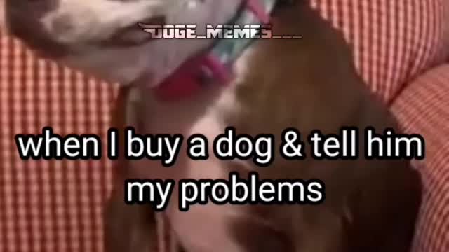 My pain with Dog