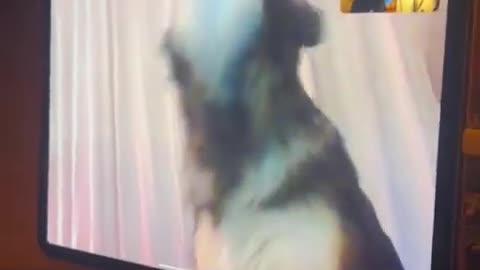 Face Time With Best Friends