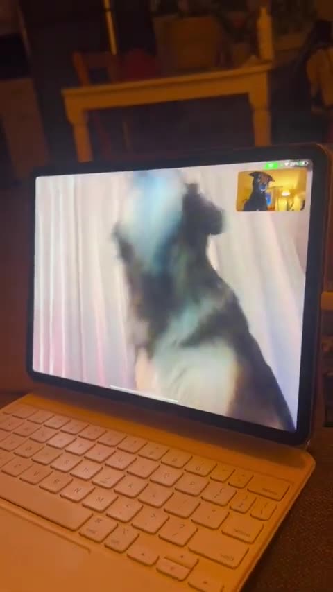 Face Time With Best Friends