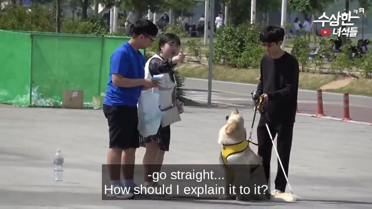 Best prank videos 100%.