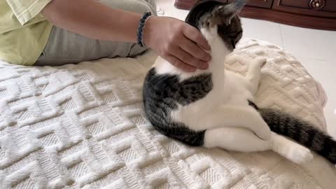 A cute little girl who plays coquetry on the bed