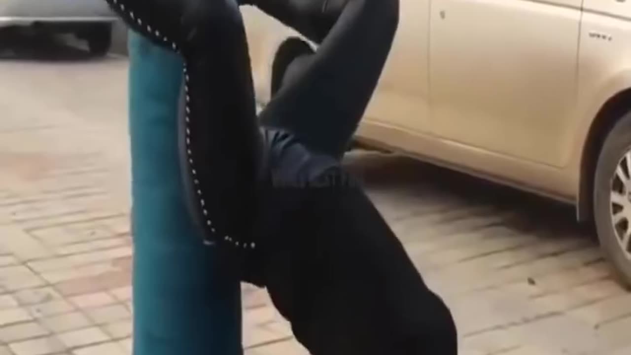 Best funny videos
