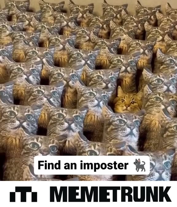 Find an imposter😺