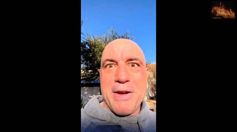 Joe Rogan Lays it all out over Outrage