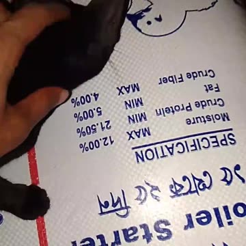 Cat 😺😺😺 video very little cat.this cat and Tommy very good friend 🕊️🕊️🕊️ part 3