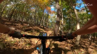 Chicopee Mountain MTB Trail Gainesville GA